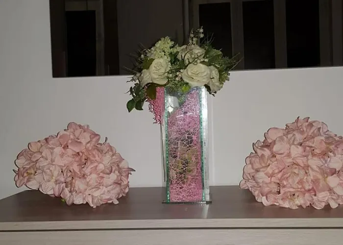 BelvedereBed and Breakfast