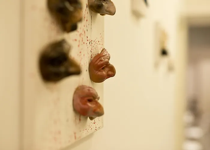 Parthenope Suite Napoli